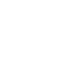 Emergency Callout Icon