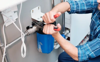 Tree Roots and Sewer Lines: Protecting Your Property in Moncks Corner, SC