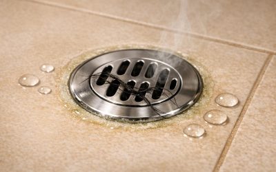 Why Does My Shower Drain Smell in my Apartment? Common Causes and Troubleshooting Tips